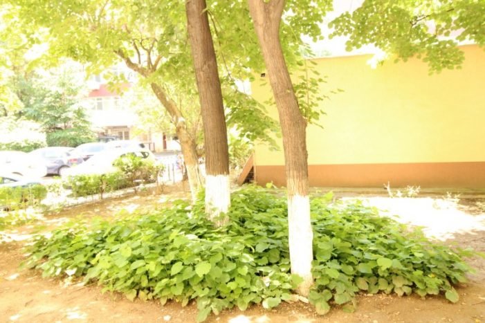 Dorobanti- Perla Inchiriere apartament 2 camere,